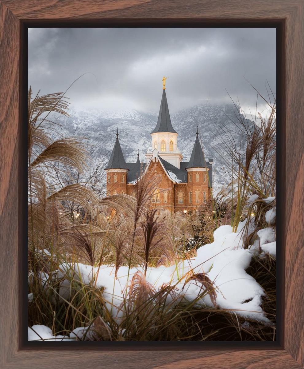 Provo City Center Winter Warmth