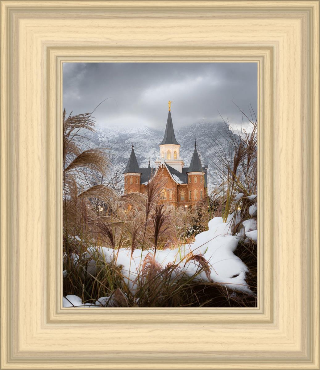 Provo City Center Winter Warmth
