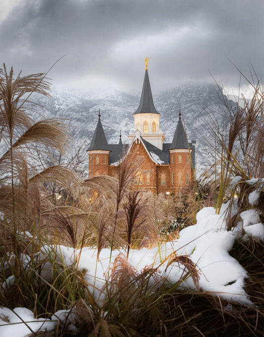 Provo City Center Winter Warmth Gallery Wrap