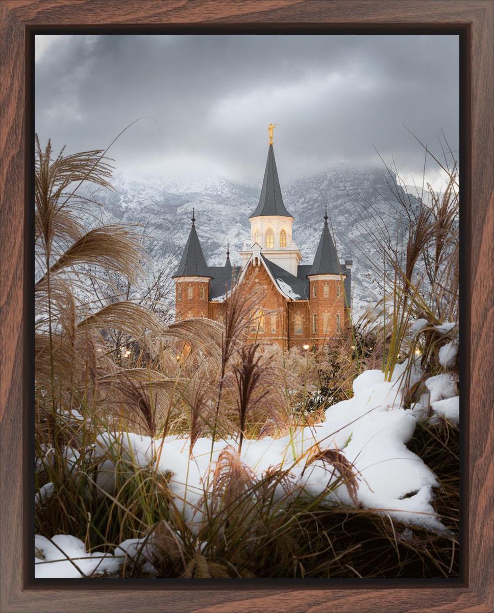 Provo City Center Winter Warmth