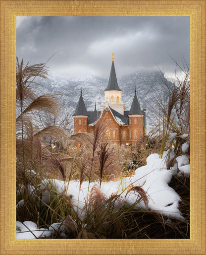 Provo City Center Winter Warmth