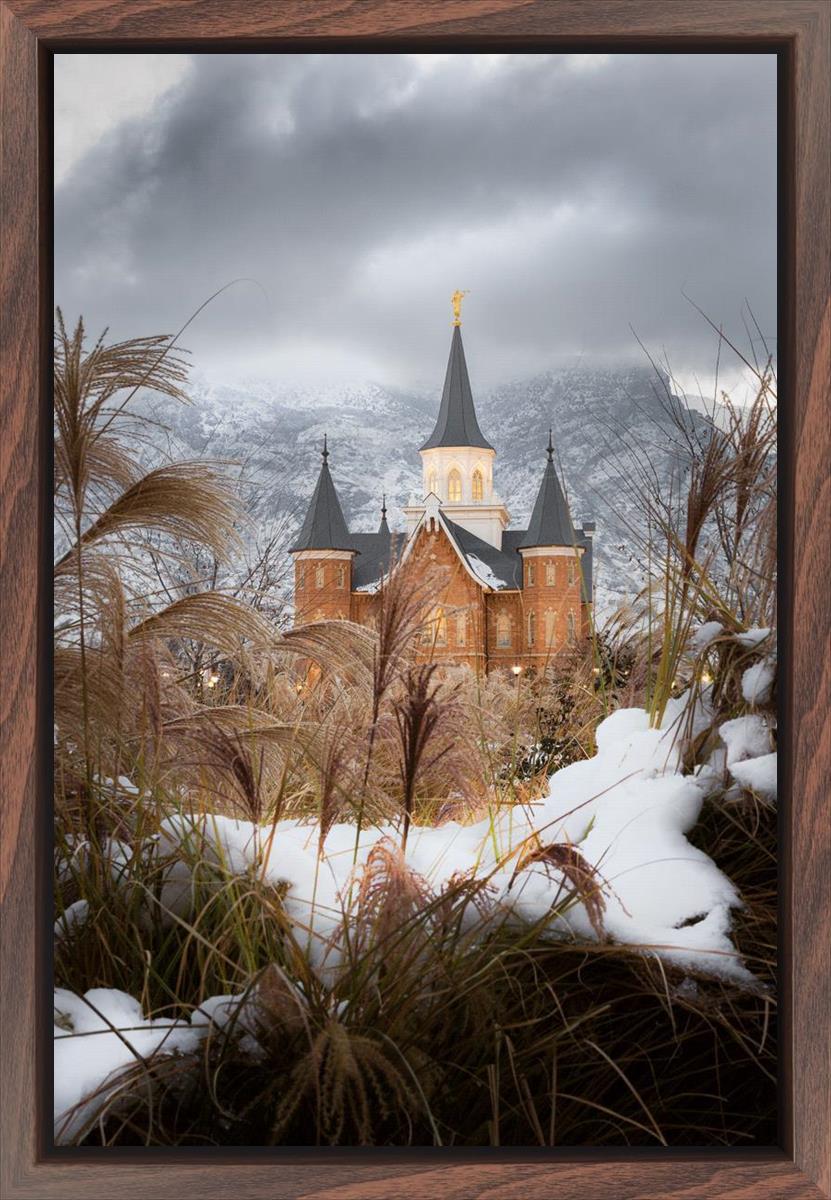 Provo City Center Winter Warmth