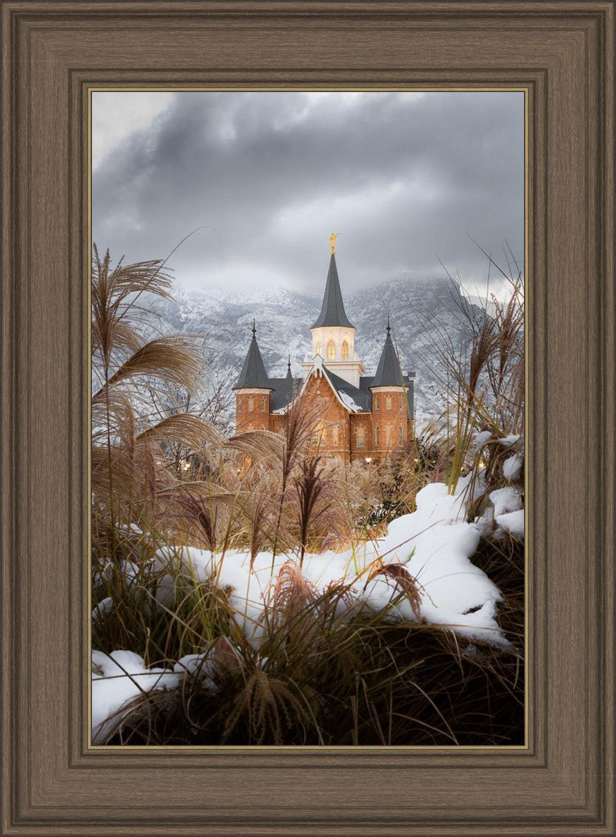 Provo City Center Winter Warmth