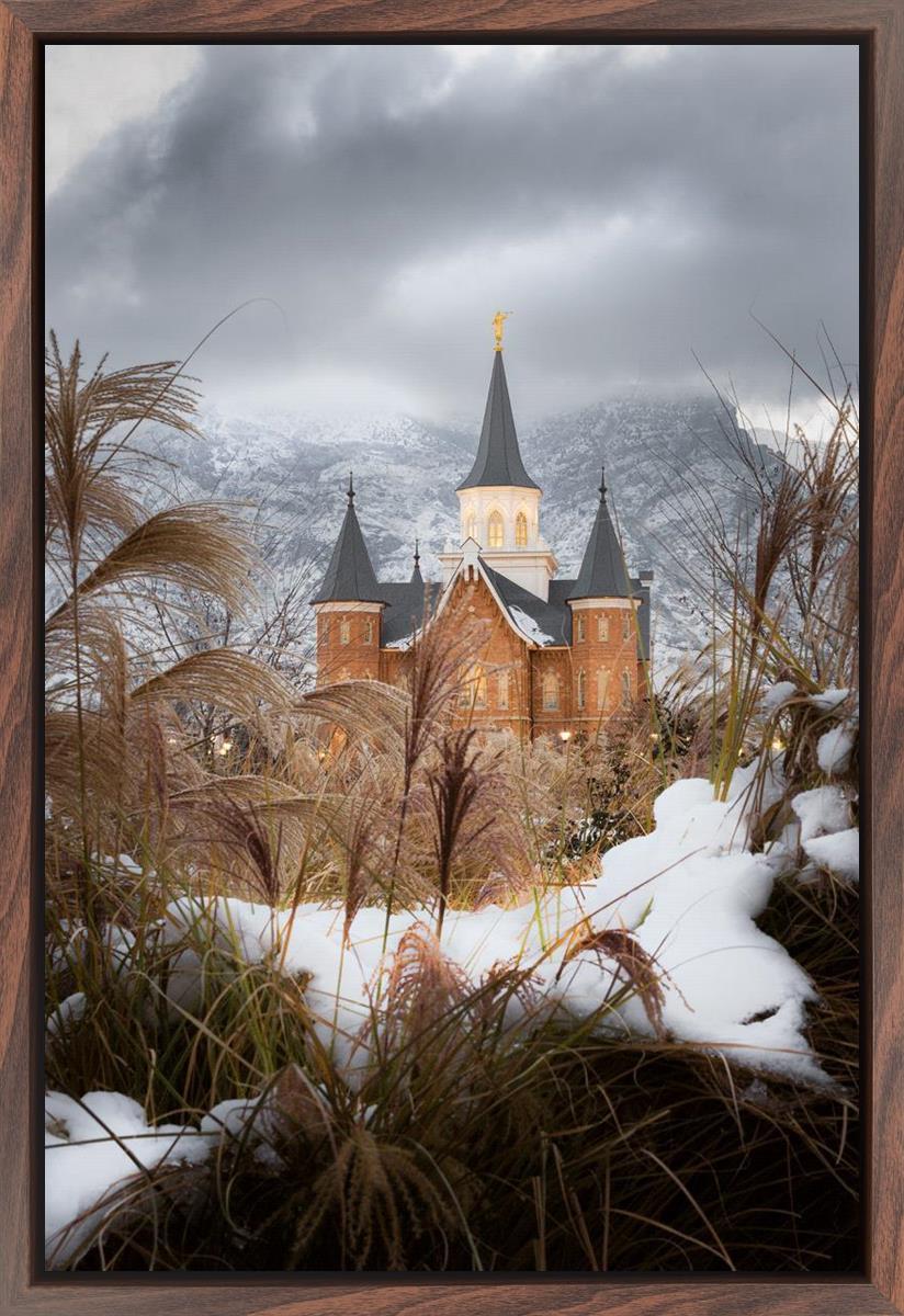 Provo City Center Winter Warmth
