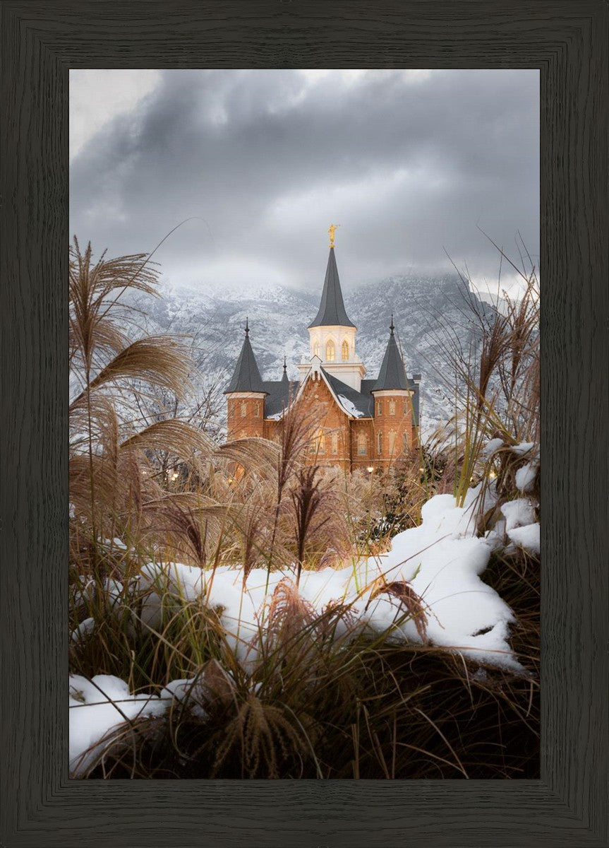 Provo City Center Winter Warmth