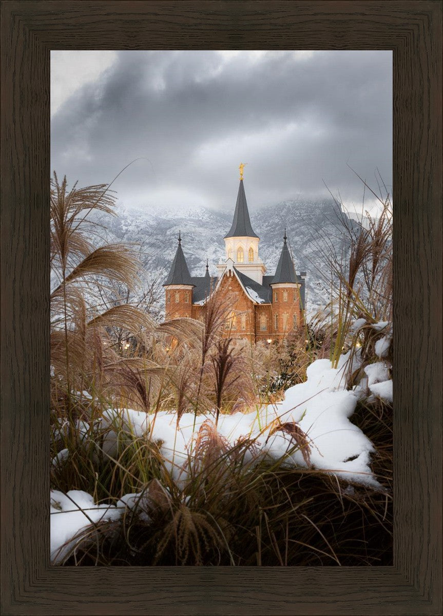 Provo City Center Winter Warmth