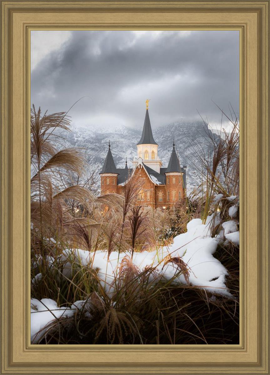 Provo City Center Winter Warmth