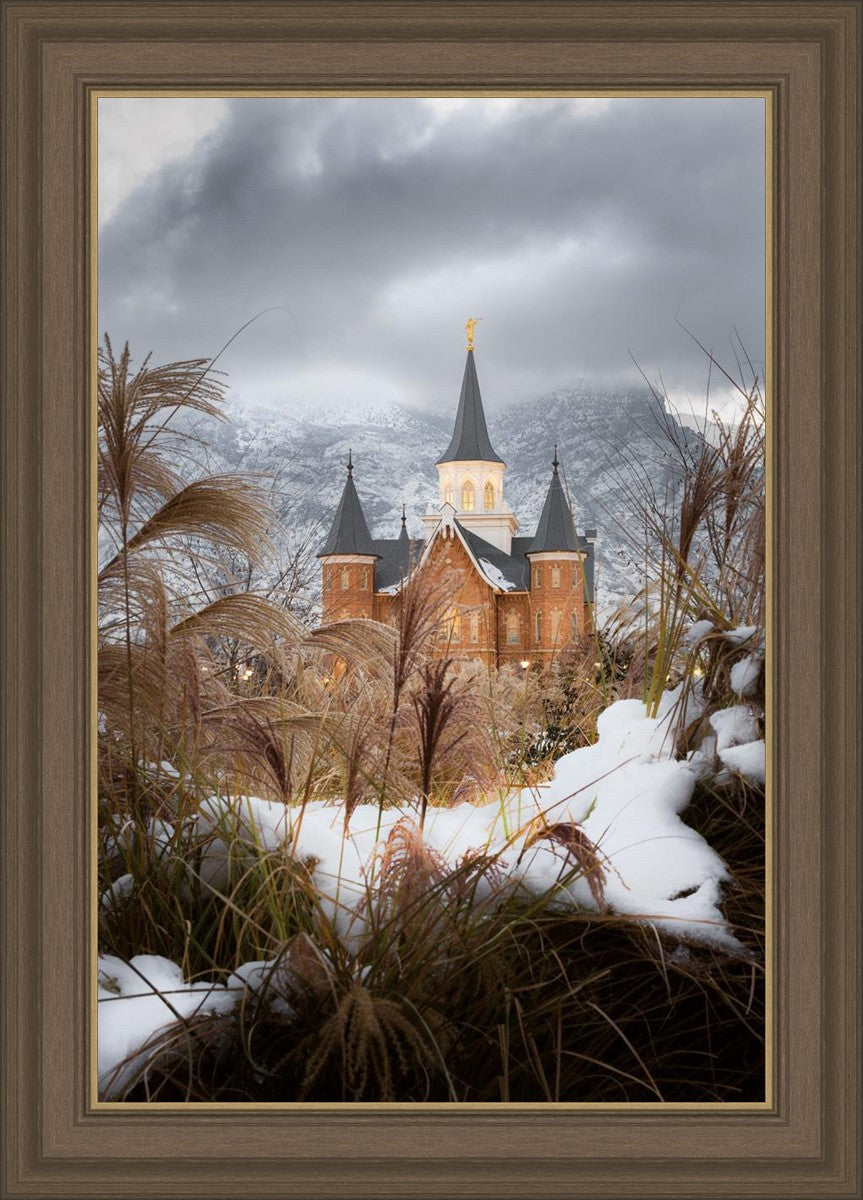 Provo City Center Winter Warmth