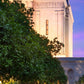 Mesa Temple Living Heritages