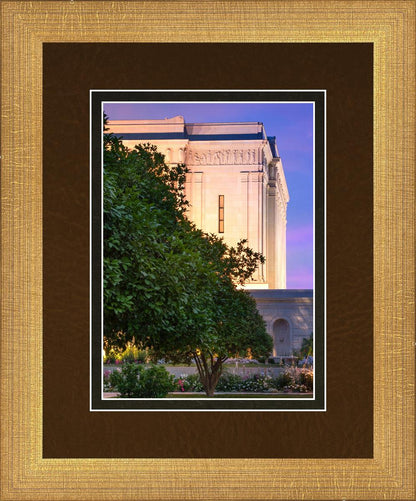 Mesa Temple Living Heritages