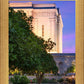 Mesa Temple Living Heritages