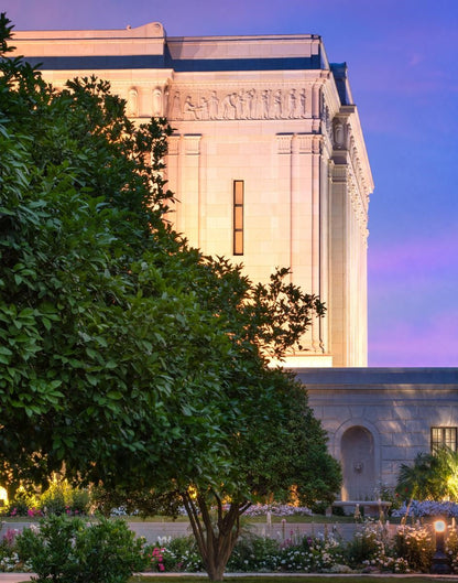 Mesa Temple Living Heritages Gallery Wrap