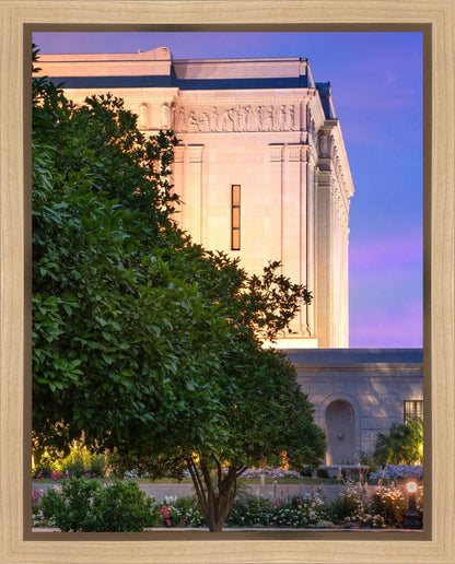 Mesa Temple Living Heritages Gallery Wrap