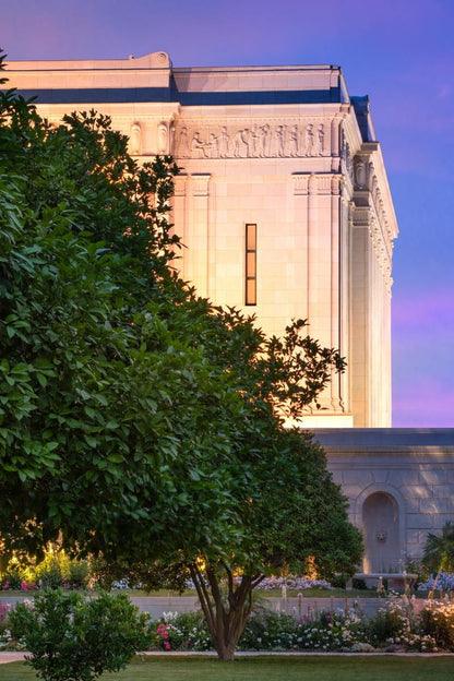 Mesa Temple Living Heritages Gallery Wrap