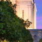 Mesa Temple Living Heritages