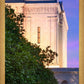 Mesa Temple Living Heritages