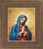 Our Rose of Tepeyac