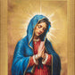 Our Rose of Tepeyac