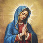 Our Rose of Tepeyac