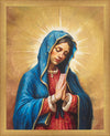 Our Rose of Tepeyac