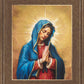 Our Rose of Tepeyac