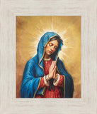 Our Rose of Tepeyac