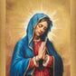 Our Rose of Tepeyac