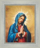 Our Rose of Tepeyac