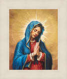 Our Rose of Tepeyac