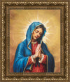 Our Rose of Tepeyac