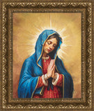 Our Rose of Tepeyac