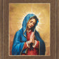 Our Rose of Tepeyac