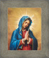 Our Rose of Tepeyac