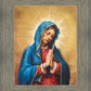 Our Rose of Tepeyac