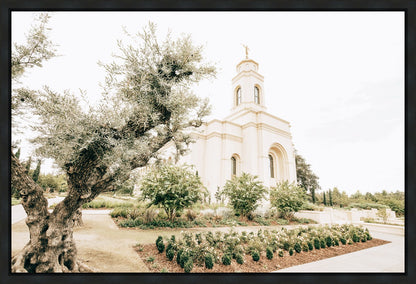 Sweet is The Work Feather River California Temple Gallery Wrap