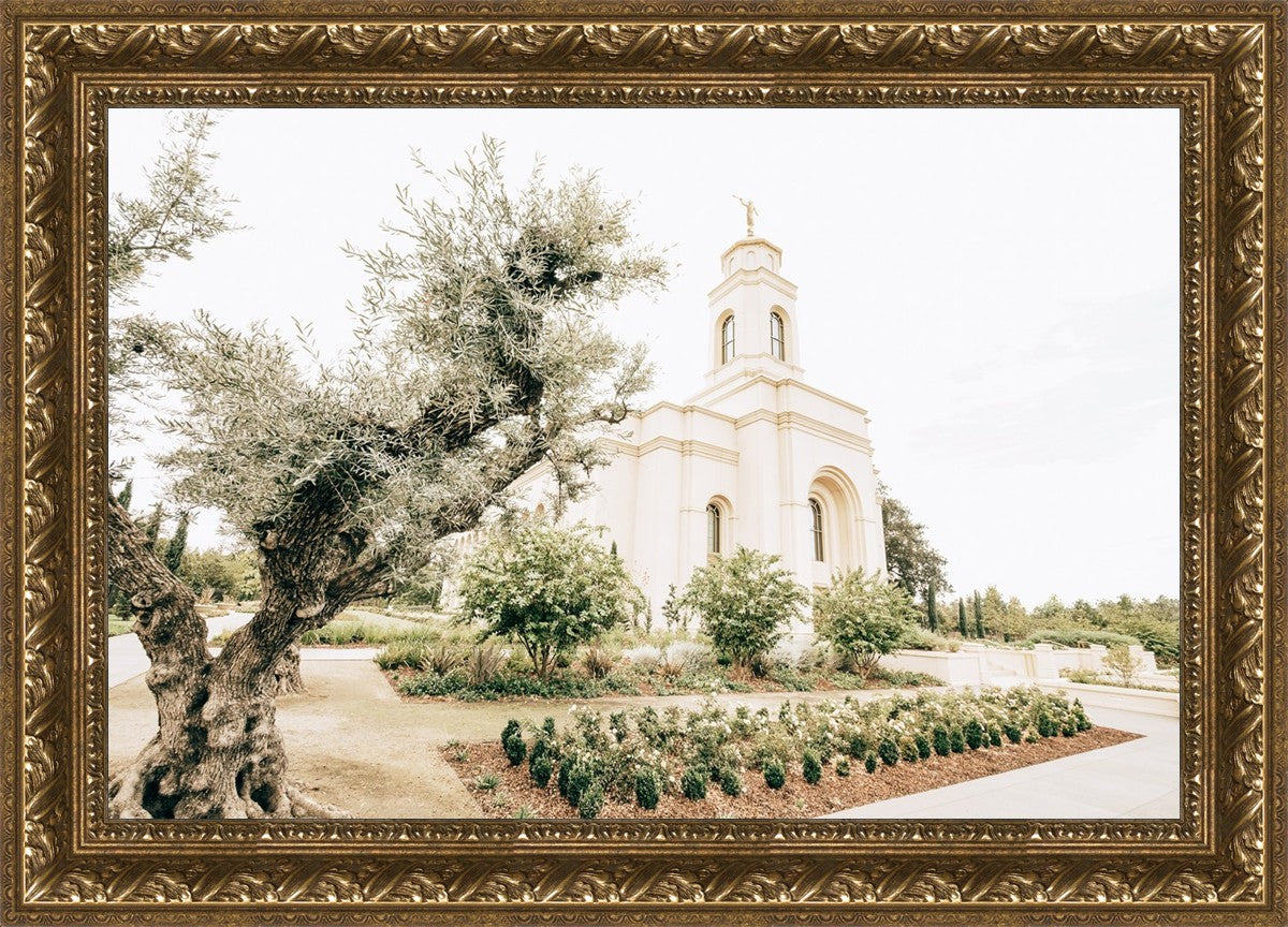 Sweet is The Work Feather River California Temple