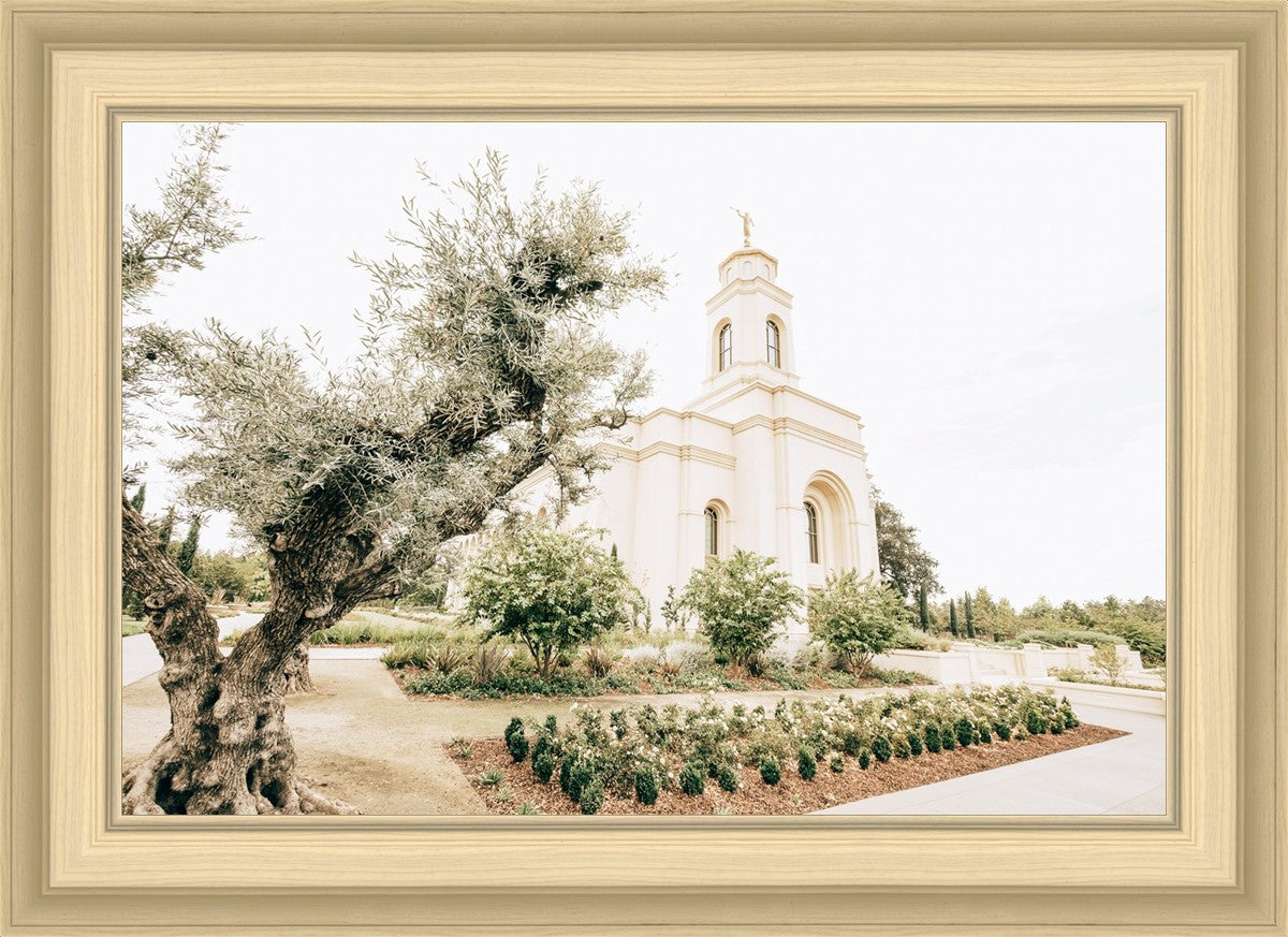 Sweet is The Work Feather River California Temple