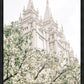 Sweet is The Work Salt Lake City Utah Temple
