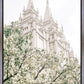 Sweet is The Work Salt Lake City Utah Temple