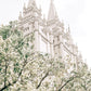 Sweet is The Work Salt Lake City Utah Temple