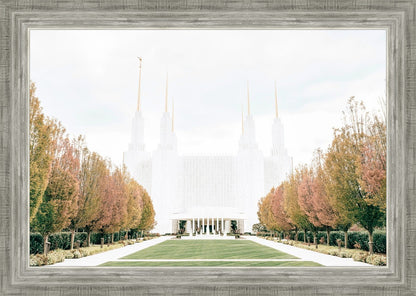 Sweet is The Work Washington DC Temple