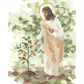 Watching Over His Vineyard