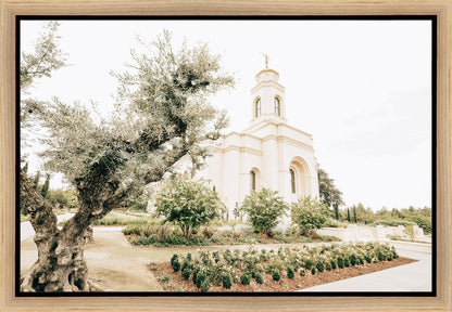 Sweet is The Work Feather River California Temple Gallery Wrap