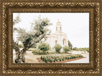 Sweet is The Work Feather River California Temple