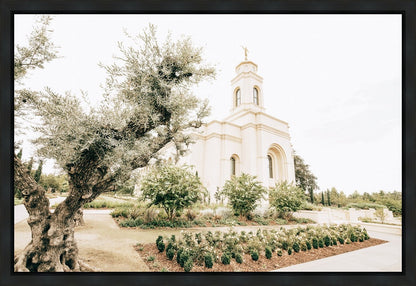 Sweet is The Work Feather River California Temple Gallery Wrap