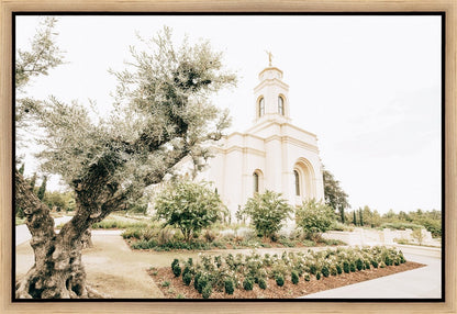 Sweet is The Work Feather River California Temple Gallery Wrap