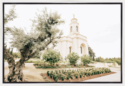 Sweet is The Work Feather River California Temple Gallery Wrap