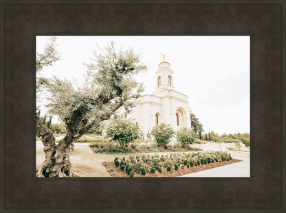 Sweet is The Work Feather River California Temple
