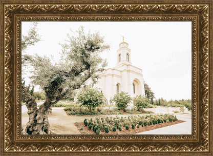 Sweet is The Work Feather River California Temple