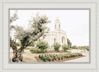 Sweet is The Work Feather River California Temple